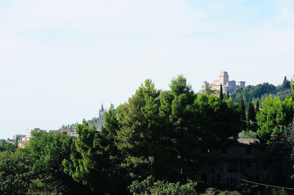 Colle Degli Olivi Snc Guest House Assisi Exterior photo