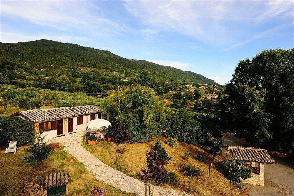 Colle Degli Olivi Snc Guest House Assisi Exterior photo