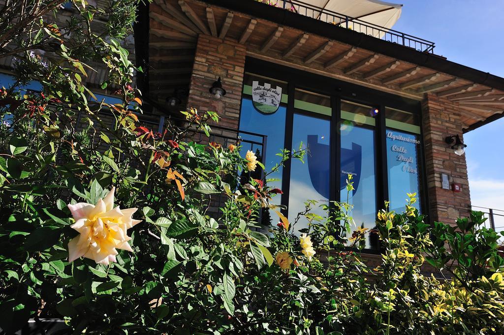 Colle Degli Olivi Snc Guest House Assisi Exterior photo