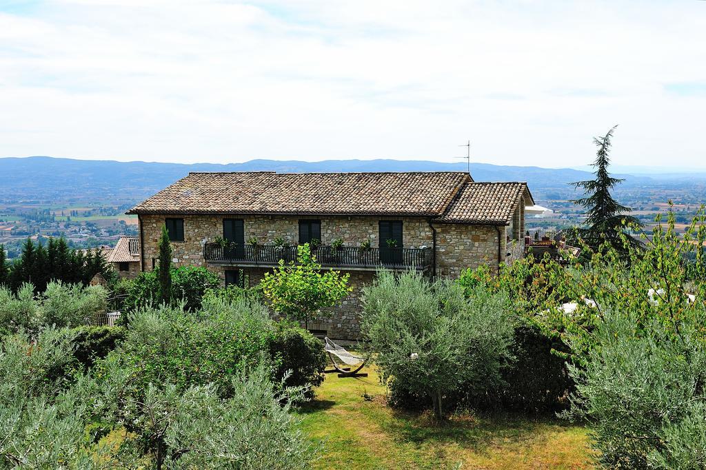 Colle Degli Olivi Snc Guest House Assisi Exterior photo